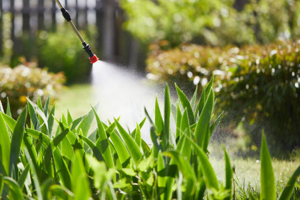 24/7 Emergency Fumigation Services experts in Andalusia, IL