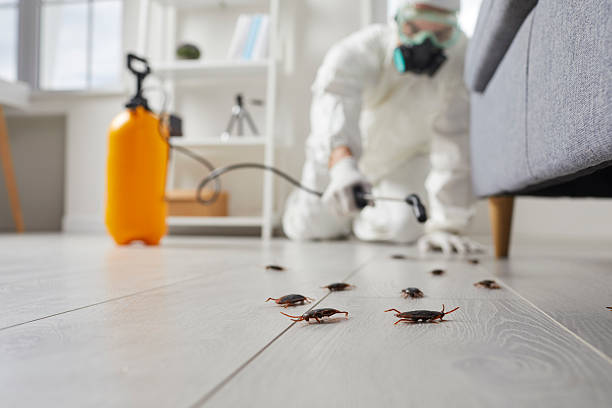Trusted Termite Control service in Andalusia, IL - Nex Pest Control
