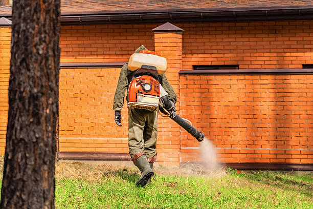 Trusted Ant Control service in Andalusia, IL - Nex Pest Control
